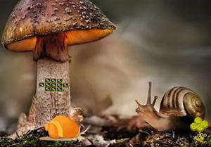 play Fantasy Snail Land Escape