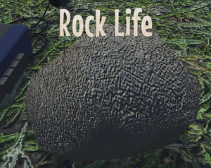 play Rock Life