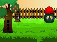 G2L Little Pigeon Rescue Html5