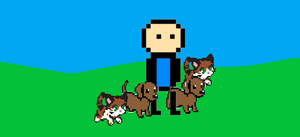 play World Petter