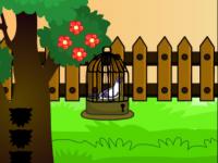 play Little Pigeon Rescue