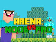 Arena: Noob Vs Pro game