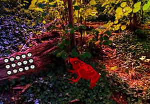 play Red Frog Forest Escape
