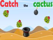 play Catch The Cactus
