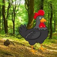play Big-Find The Black Rooster Pair Html5