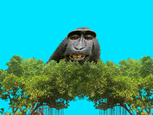 play Monke Clicker