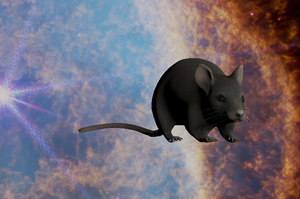 play Rat