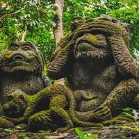 play Big-Monkey Statue Forest Escape Html5