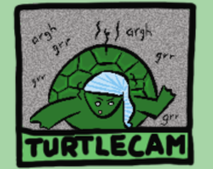 play Gurtle The Turtle
