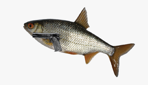 play Spinning Fish