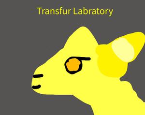 play Transfur Labratory