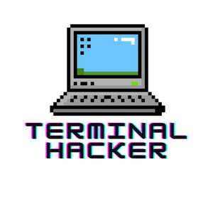 play Terminal Hacker