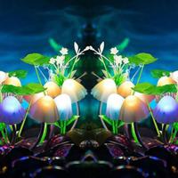 play G2R-Night Light Forest Escape Html5
