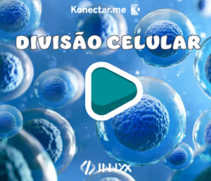 play Divisaocelular