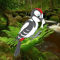 Big-Help The Troubled Woodpecker Html5 game