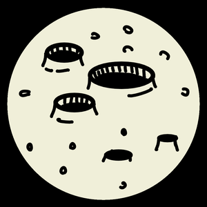 play Dreaming To The Moon
