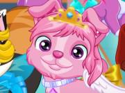 play Cute Pets Summer Dress Up