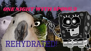 play One Night With Spong 3: Rehydrated!