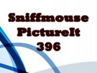 play Pictureit 396