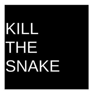 play Kill The Snake