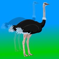 play Fg Cute Ostrich Escape