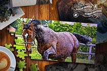 play Jigsaw Puzzle Horses Edition