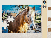 play Jigsaw Puzzle: Horses Edition