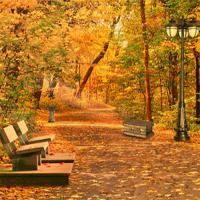 Feg-Autumn-City-Park-Escape-2