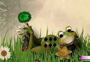 play Wild Frog Land Escape