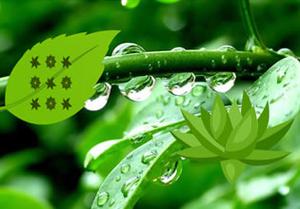 play Green Leaf Wallpaper Escape