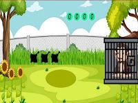 play G2M Rescue The Monkey 2 Html5