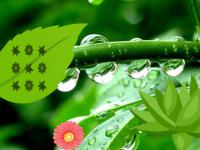 play Green Leaf Wallpaper Escape