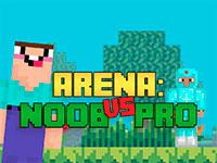 play Arena - Noob Vs Pro
