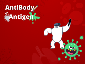 play Sistem Imun : Antigen Vs Antibody 2.0