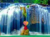 play Nature Forest Way Escape