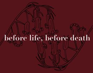 play Before Life, Before Death