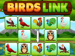 play Birds Link