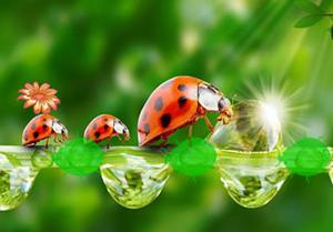 play Help The Caterpillar