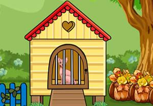 play Escape The Cute Sphynx