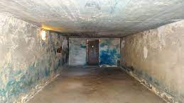 play Push Fulp Into A Gas Chamber