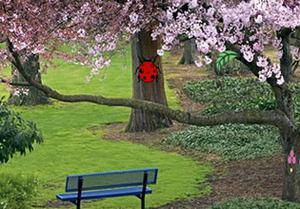 play Pink Panda Escape