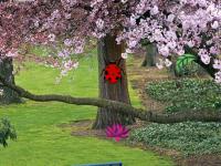 play Pink Panda Escape
