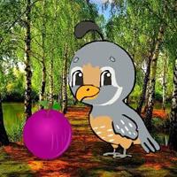 play Big-Lavender Spring Forest Escape Html5