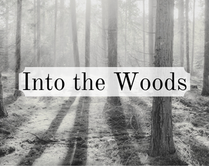 play Into The Woods