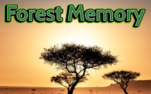play Forest Memory