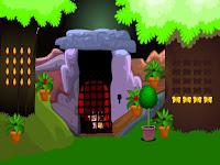 play G2L Rescue The Cub Html5