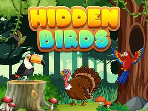 play Hidden Birds