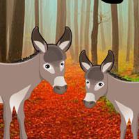 play Donkey Pair Escape Html5