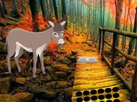 play Donkey Pair Escape