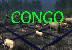play Congo